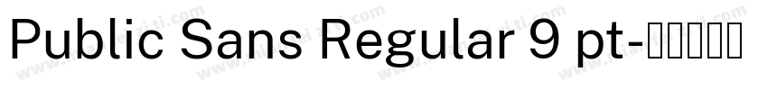 Public Sans Regular 9 pt字体转换